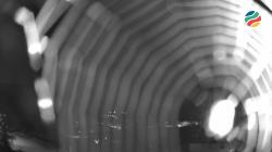 Webcams