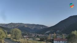 Webcams
