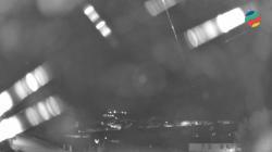 Webcams