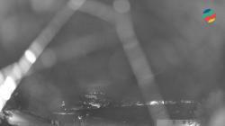 Webcams