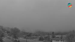 Webcams