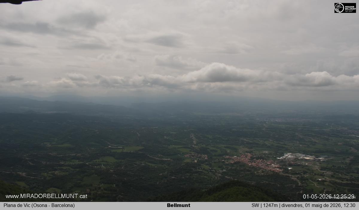 Bellmunt