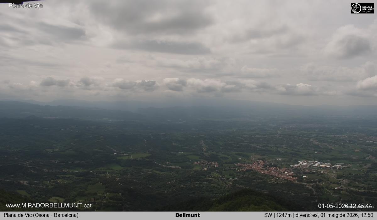 Bellmunt