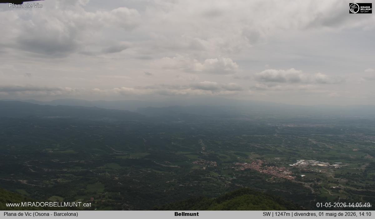 Bellmunt