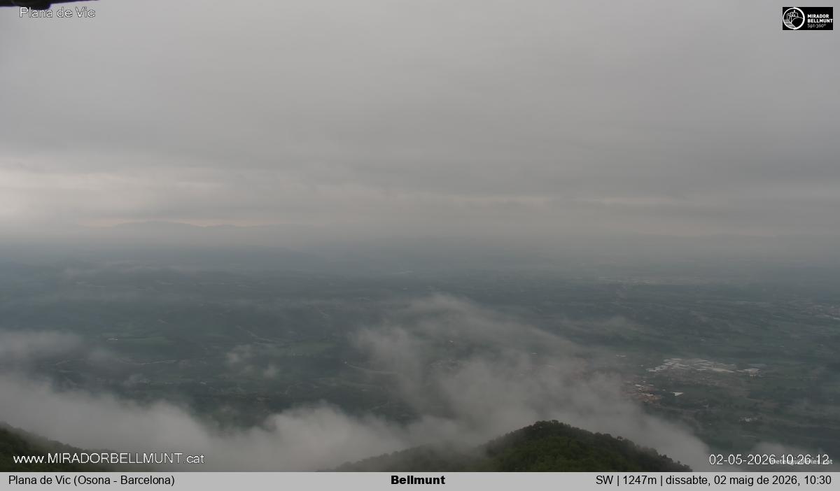 Bellmunt
