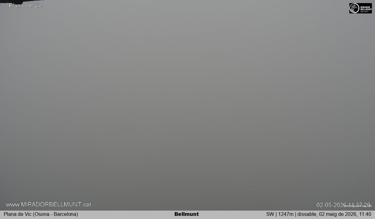 Bellmunt