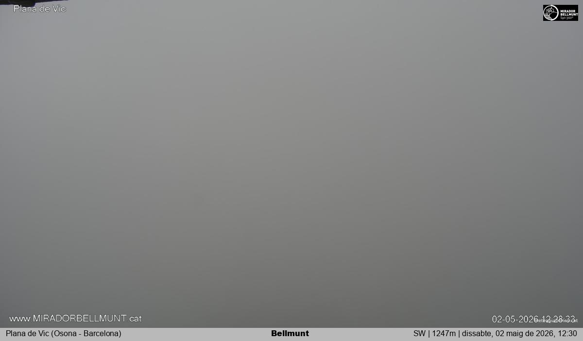 Bellmunt