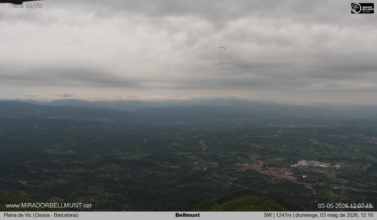 Bellmunt