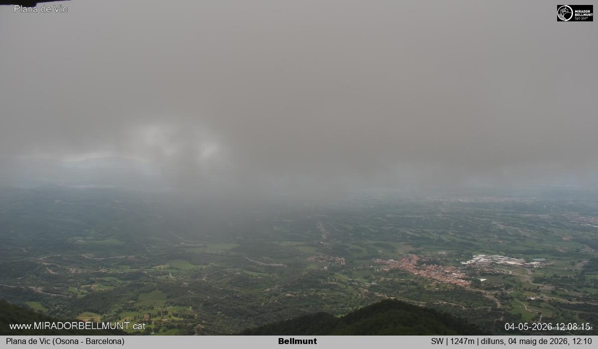 Bellmunt