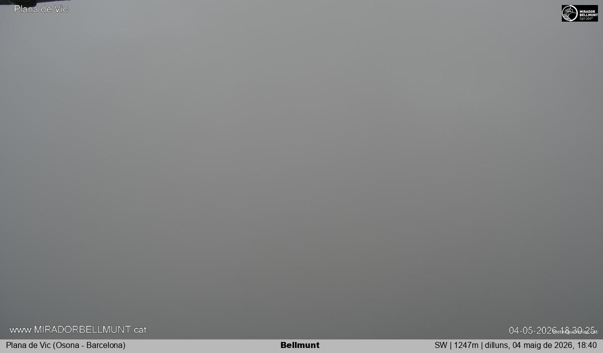 Bellmunt