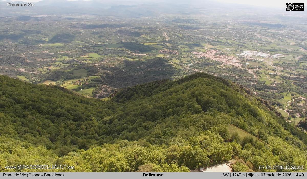 Bellmunt