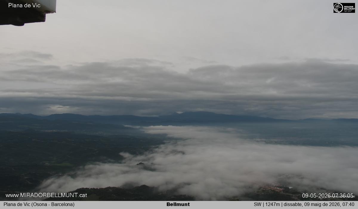 Bellmunt