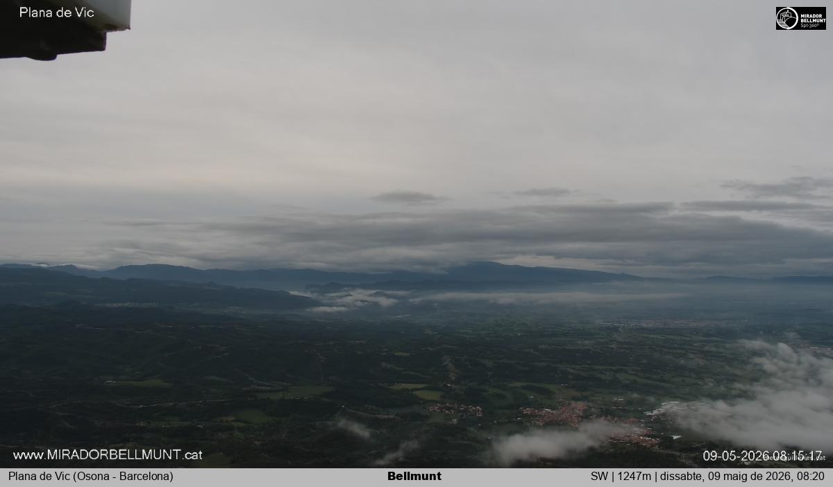 Bellmunt
