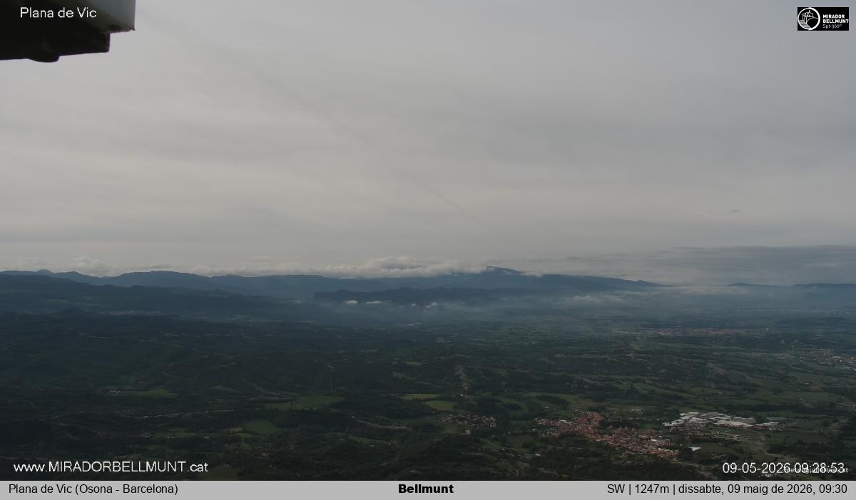 Bellmunt