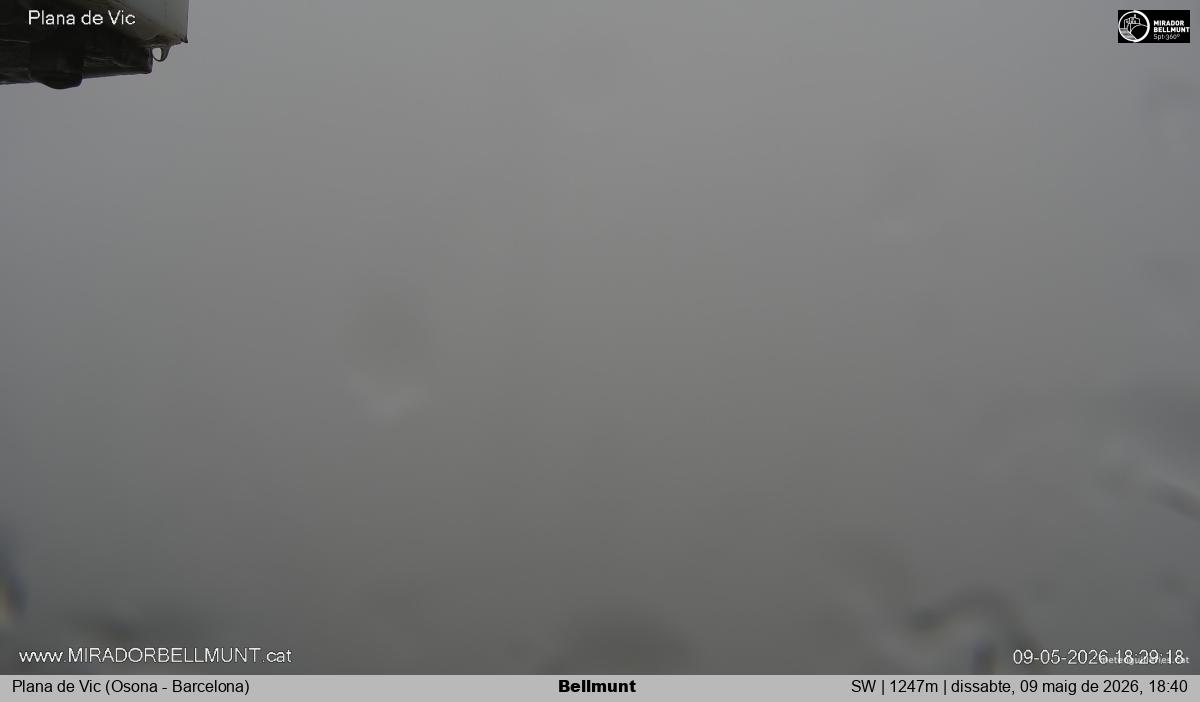 Bellmunt
