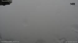 Webcams