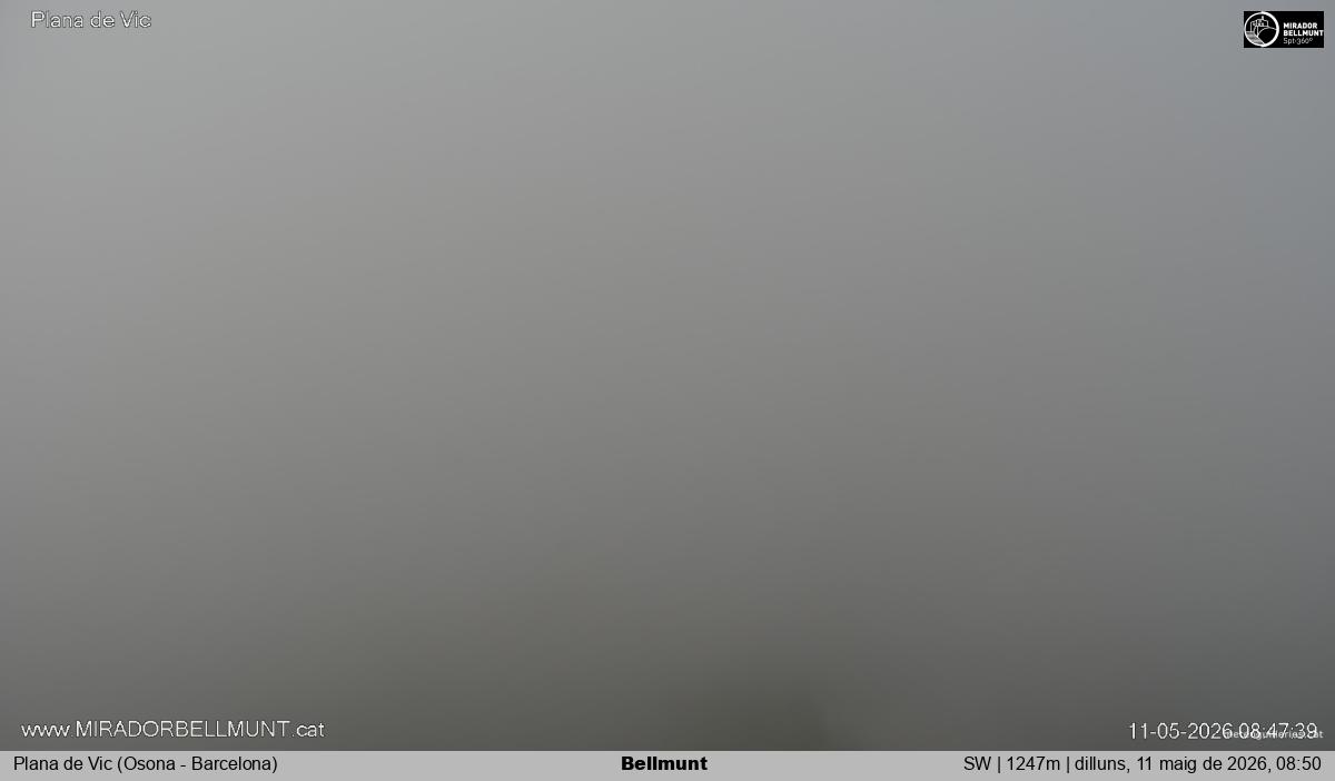 Bellmunt