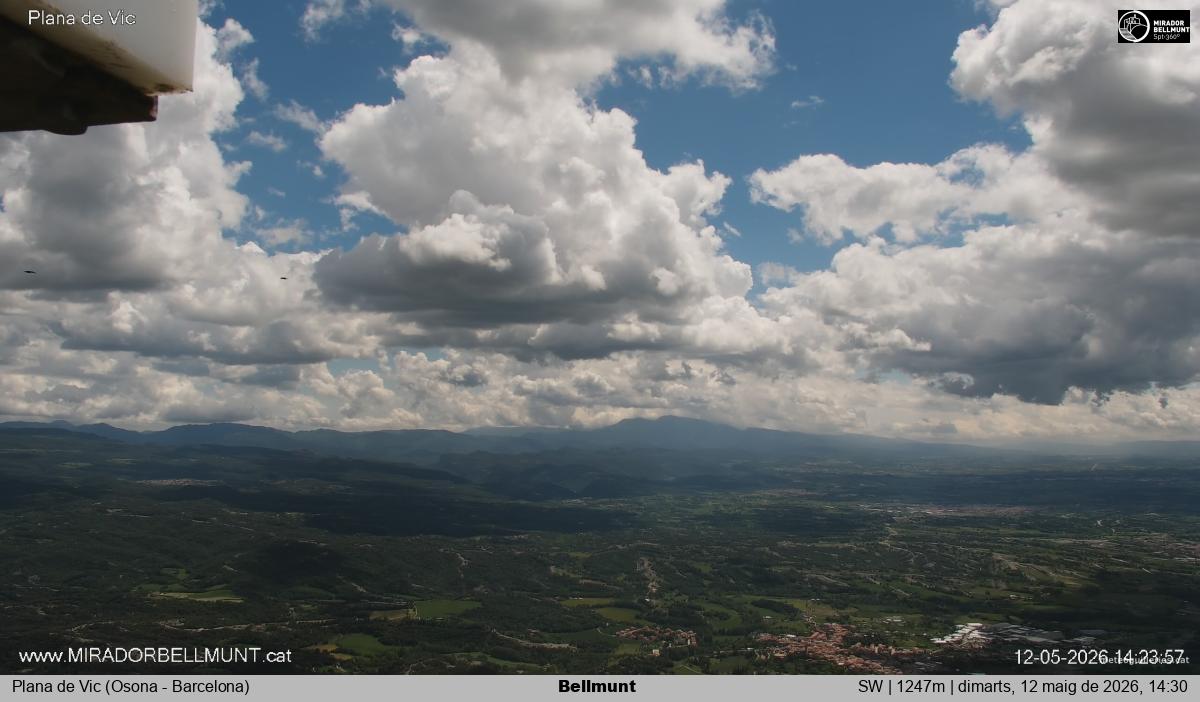 Bellmunt