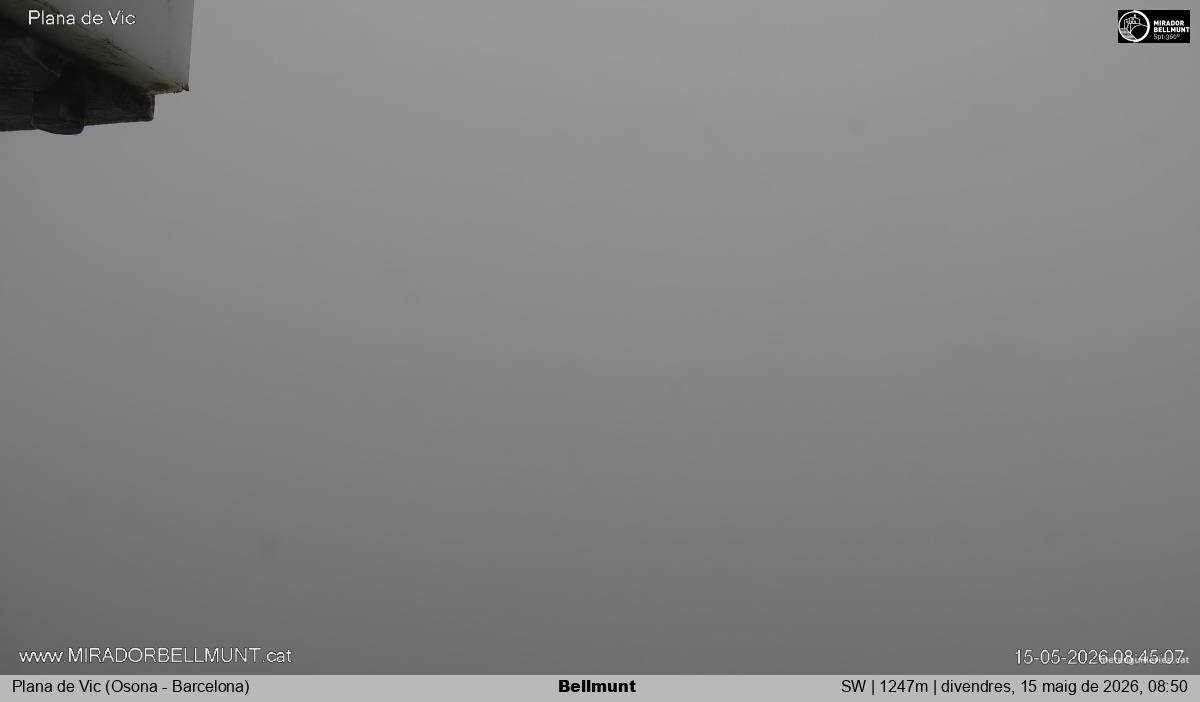 Bellmunt