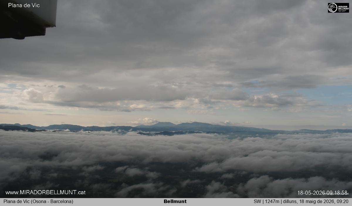 Bellmunt