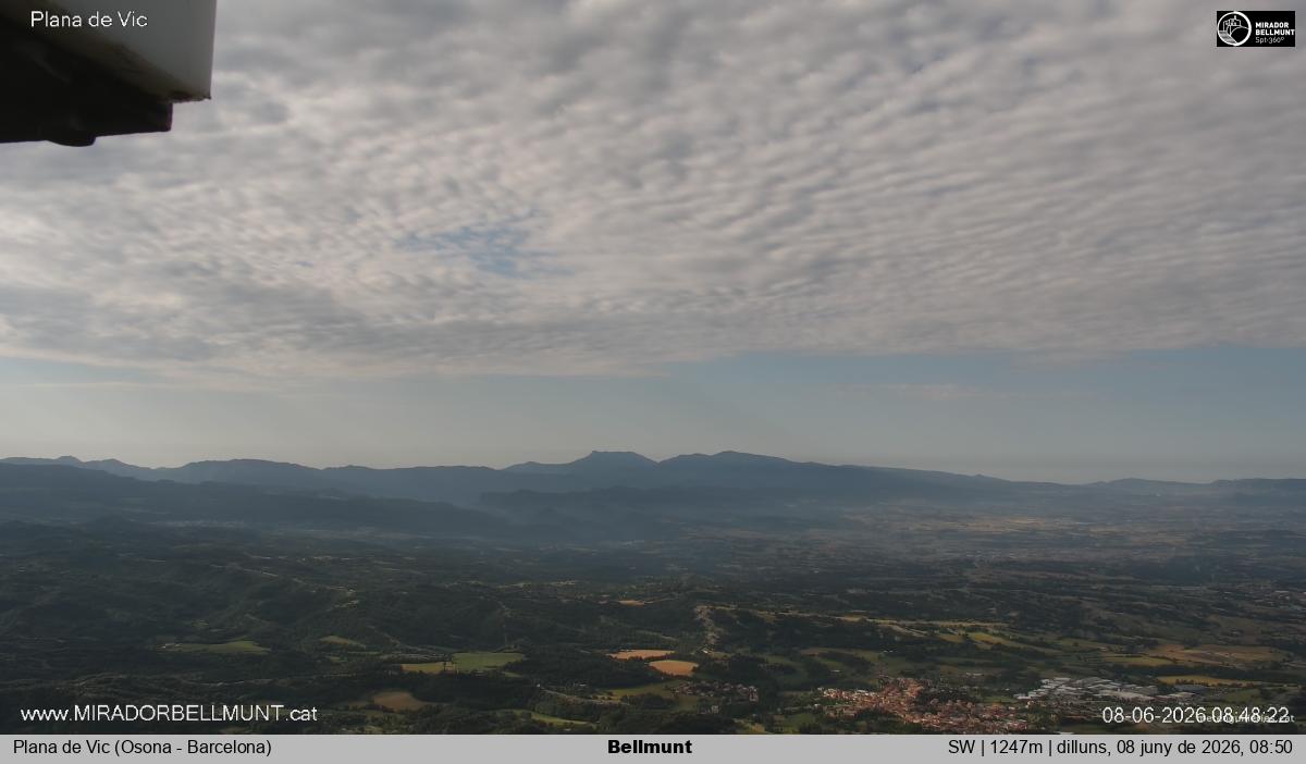 Bellmunt