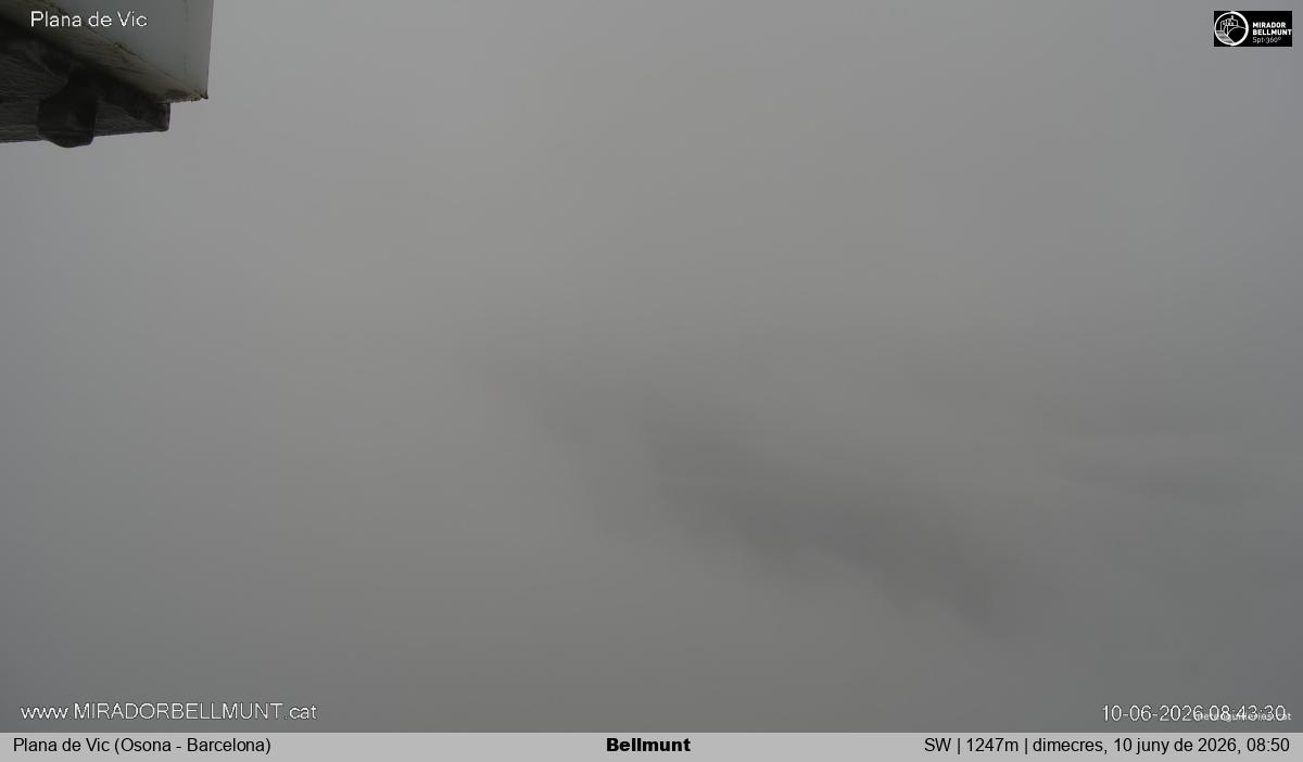 Bellmunt