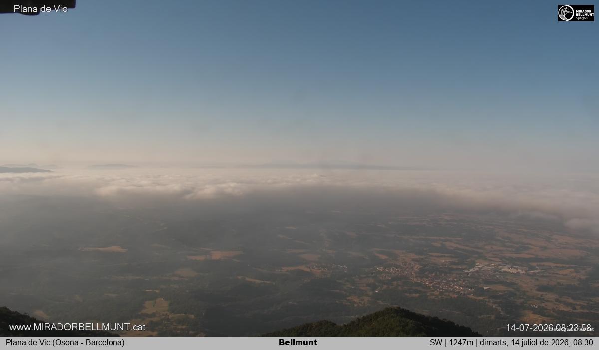 Bellmunt