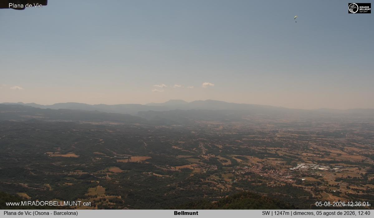 Bellmunt