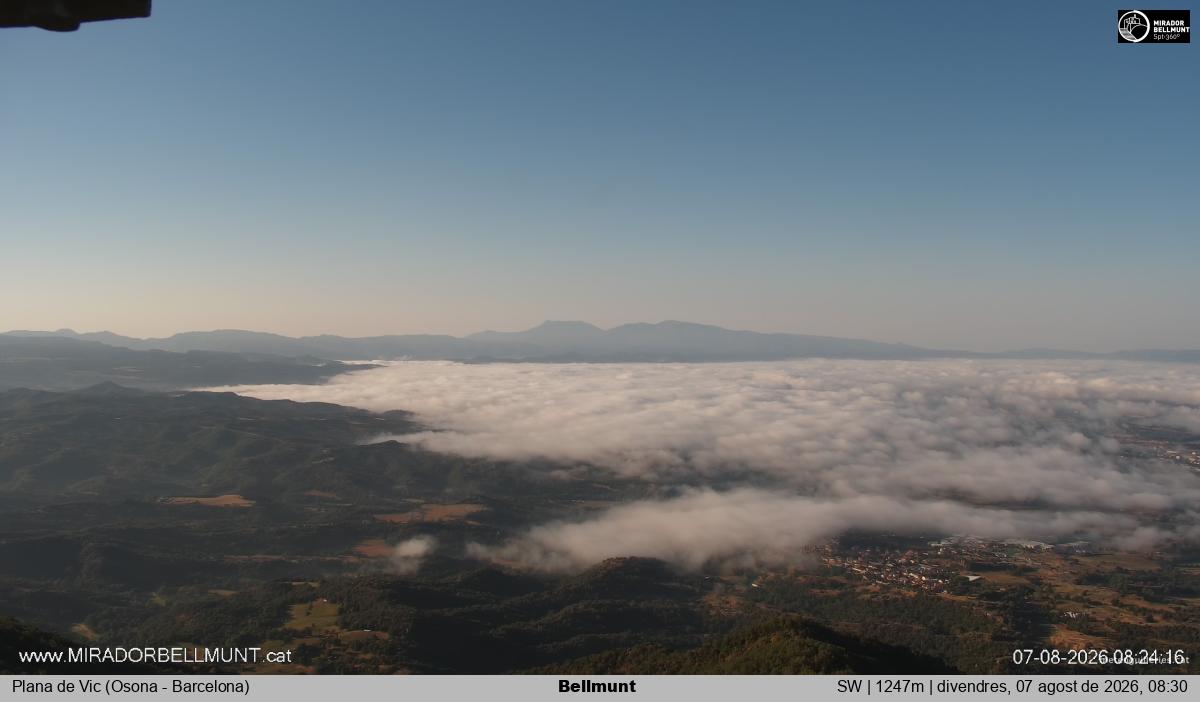 Bellmunt