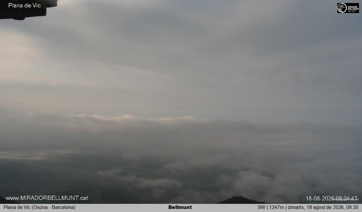 Bellmunt