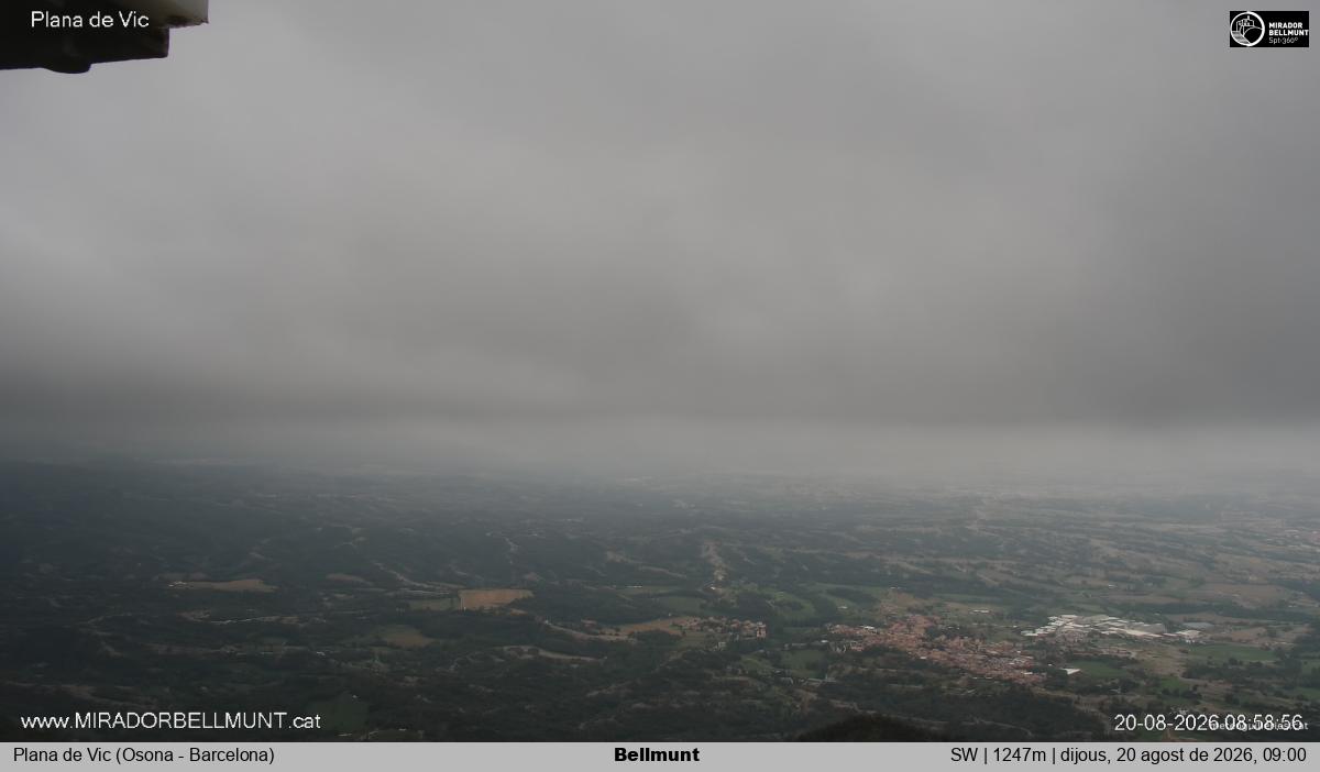 Bellmunt