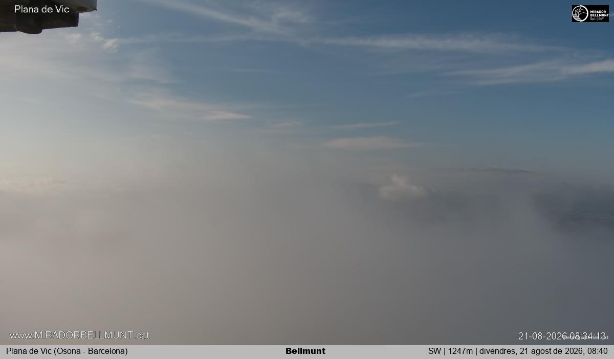 Bellmunt