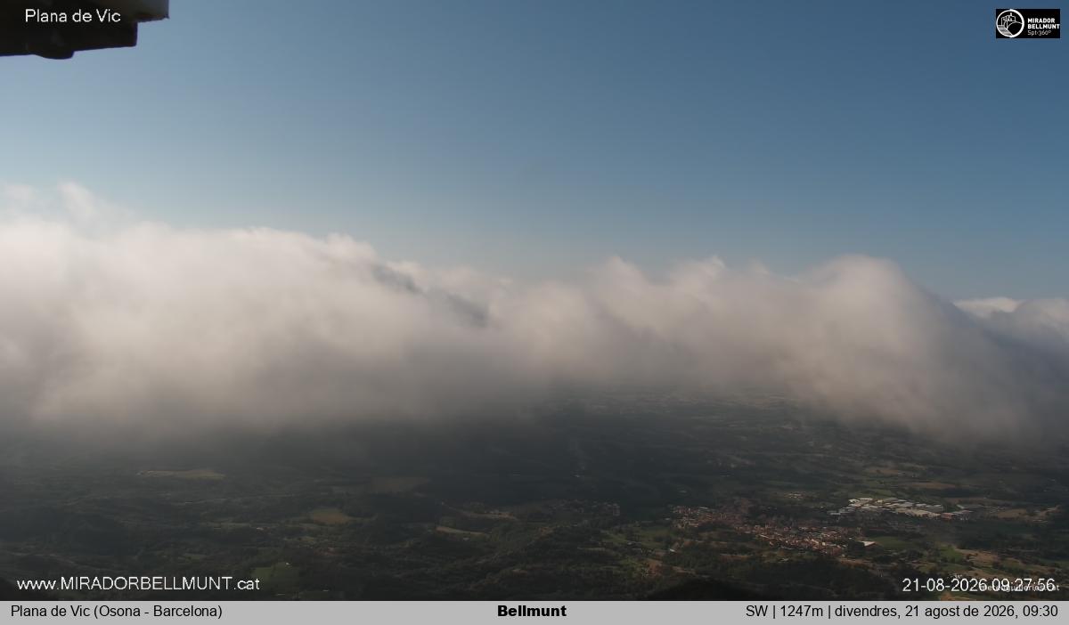 Bellmunt