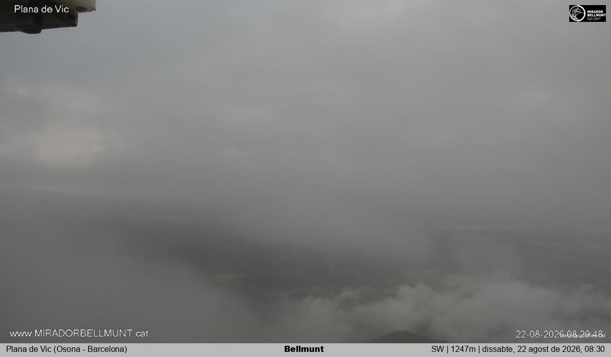 Bellmunt