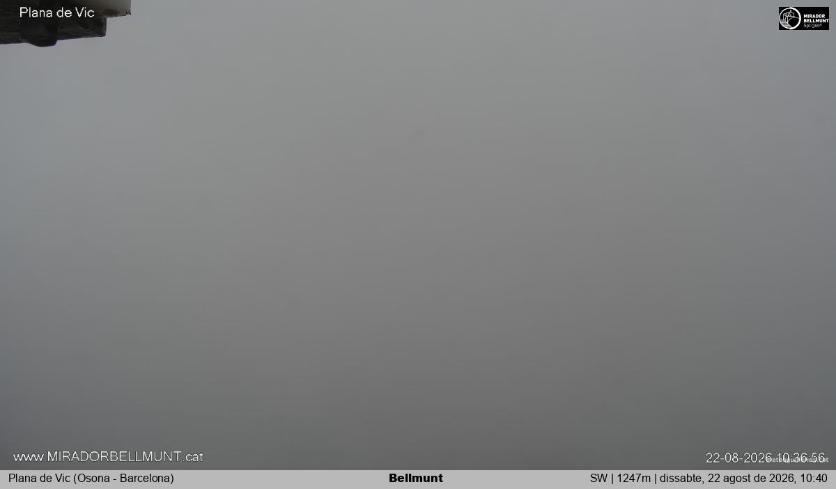 Bellmunt