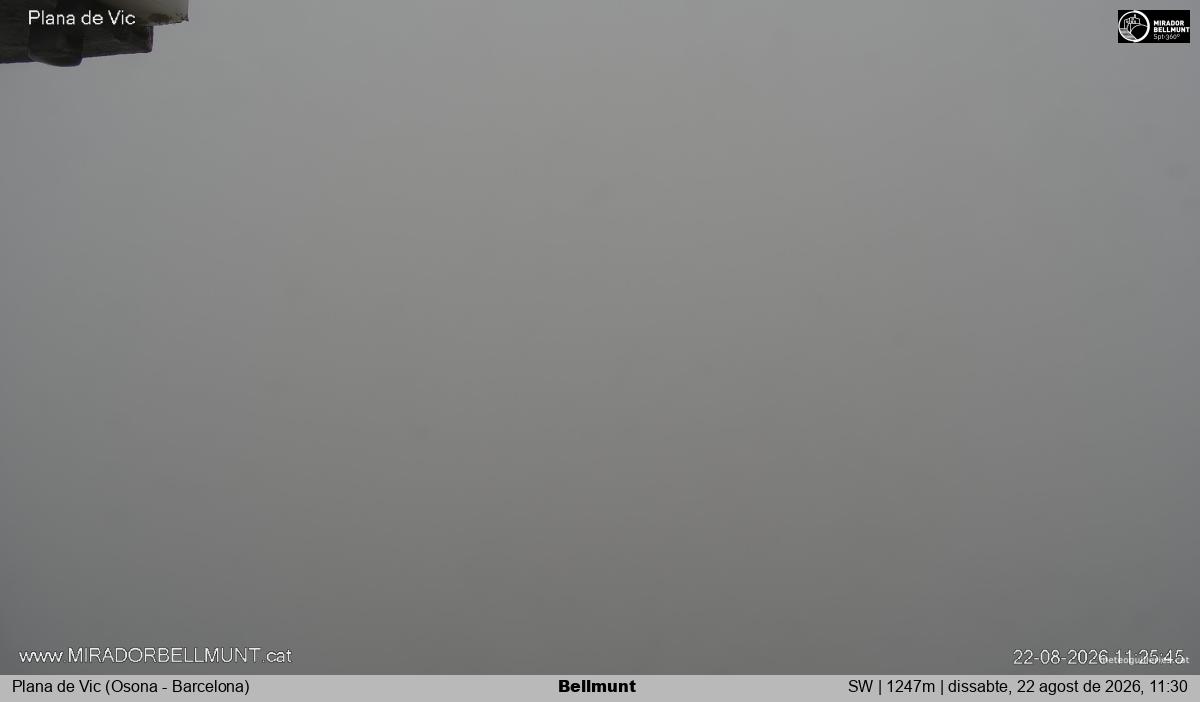Bellmunt