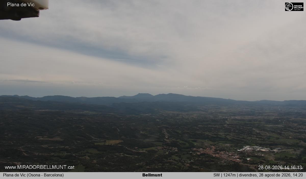 Bellmunt