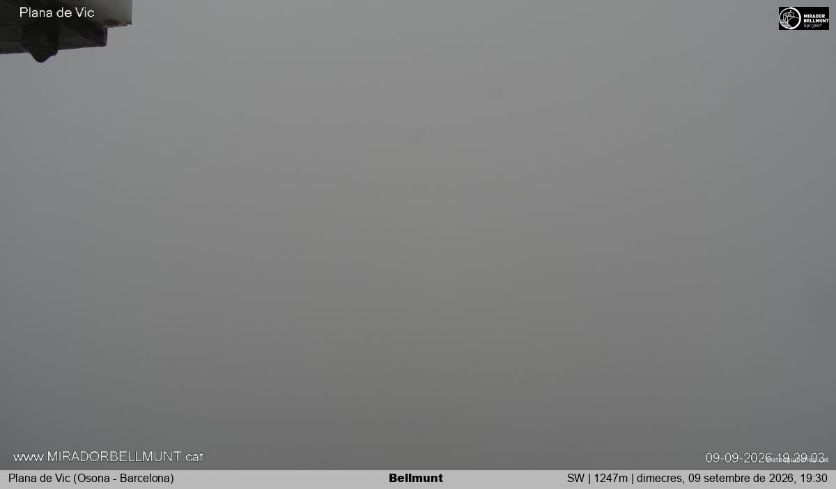 Bellmunt