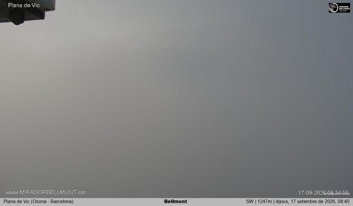 Bellmunt