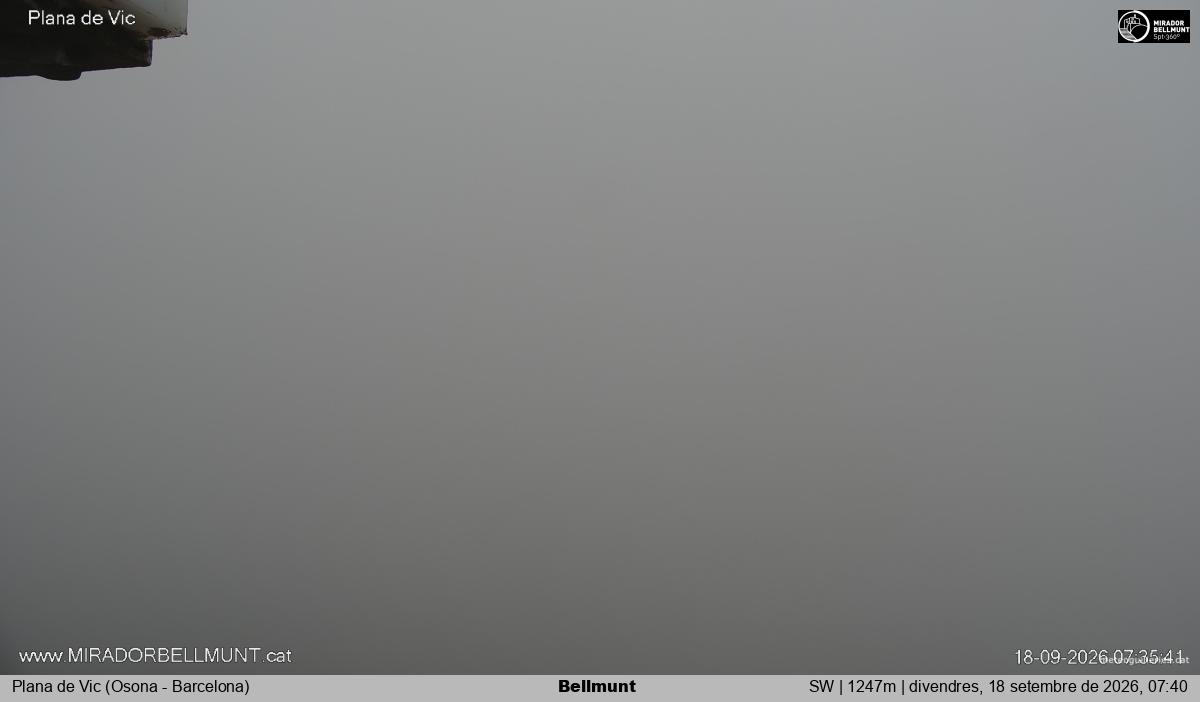 Bellmunt