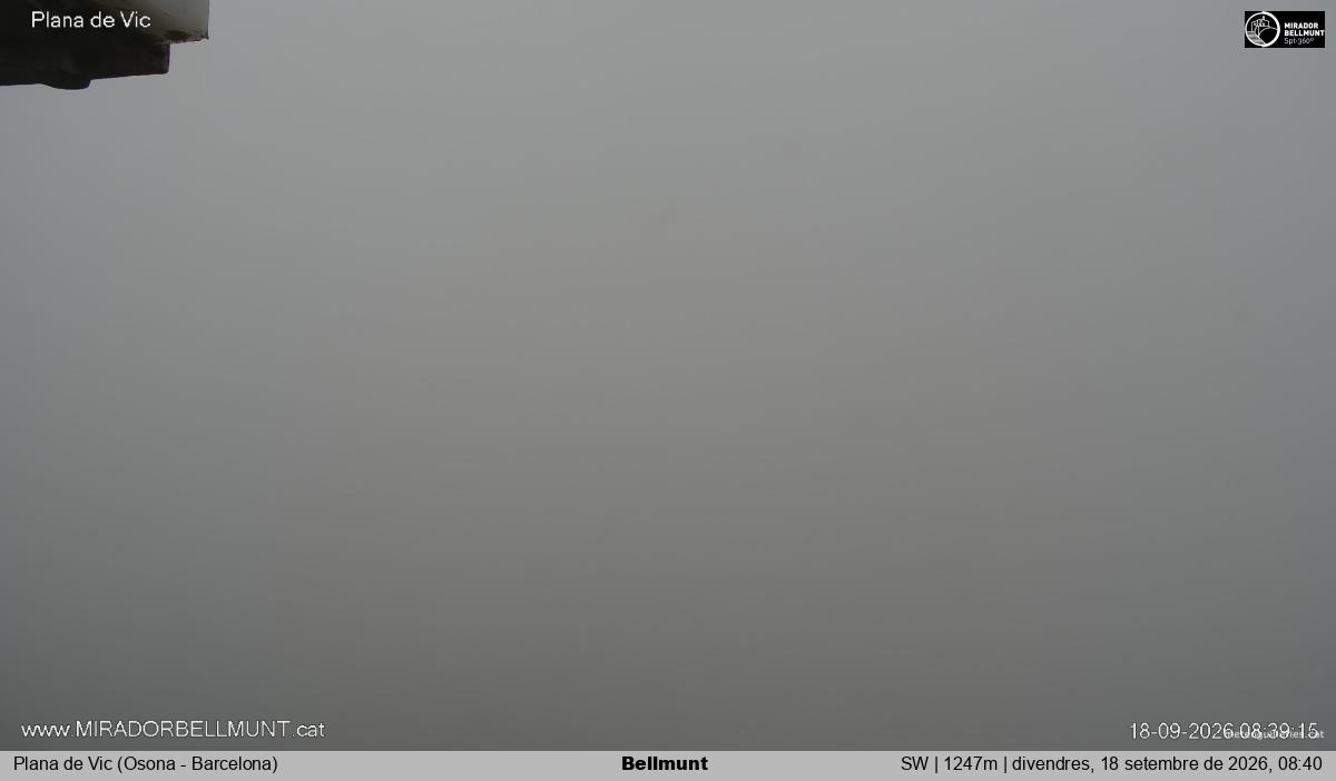 Bellmunt