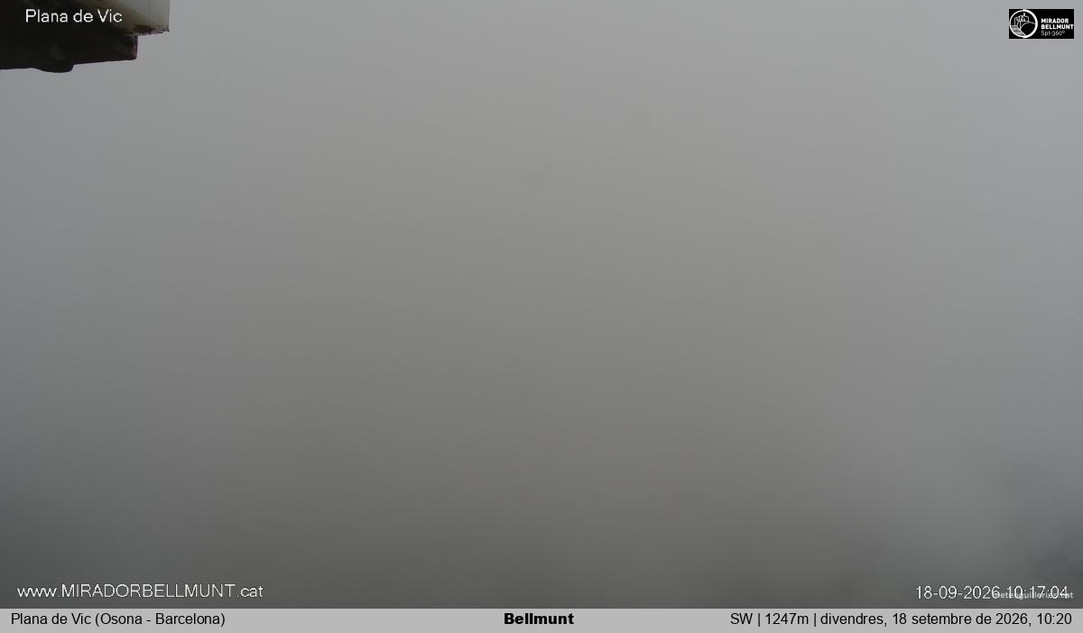 Bellmunt