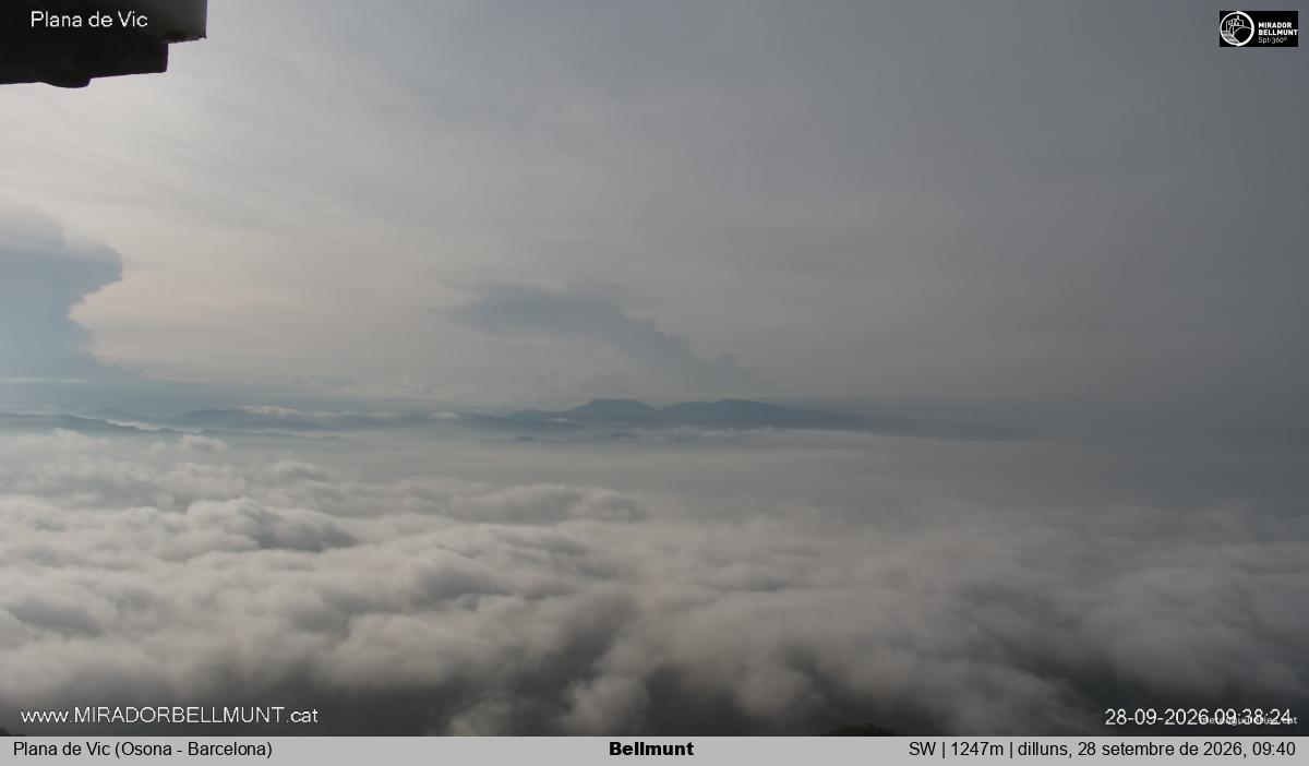 Bellmunt