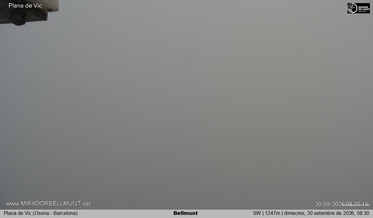 Bellmunt