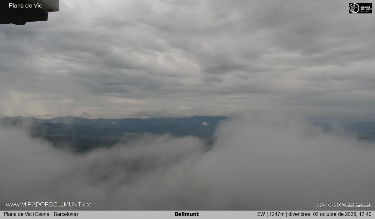 Bellmunt
