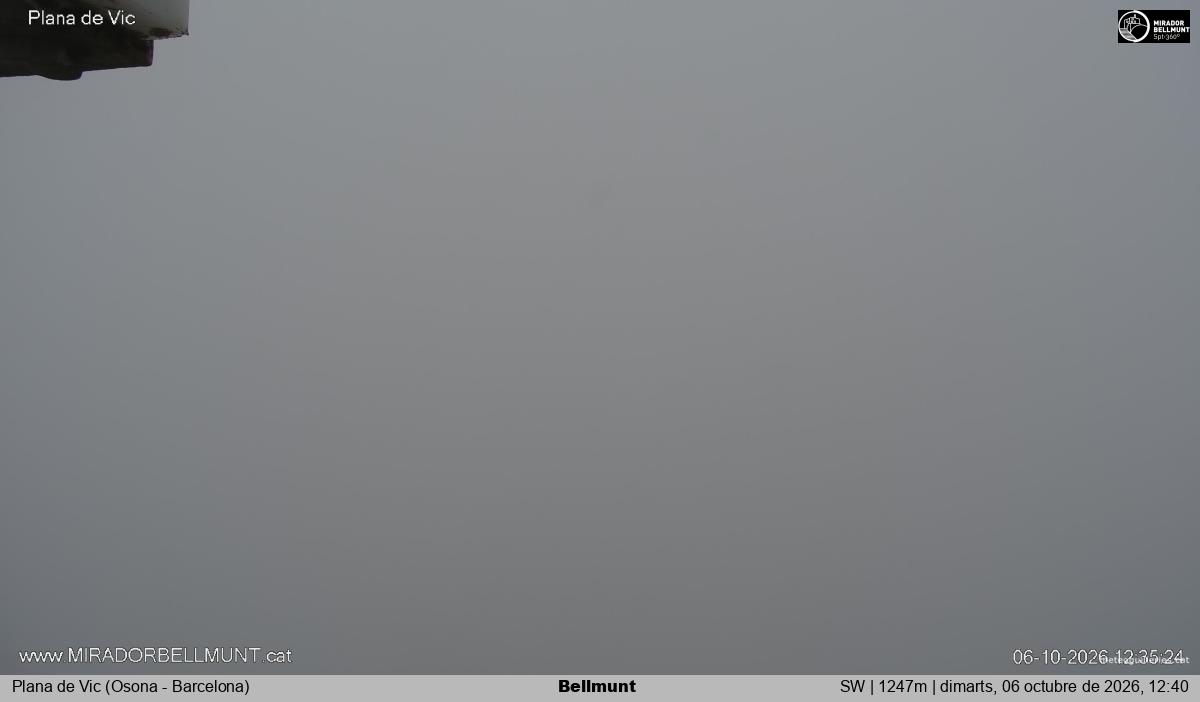 Bellmunt
