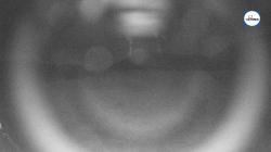 Webcams
