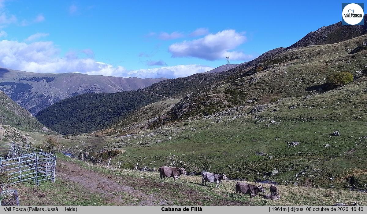 Cabana de Filià