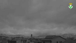 Webcams