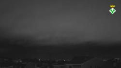 Webcams